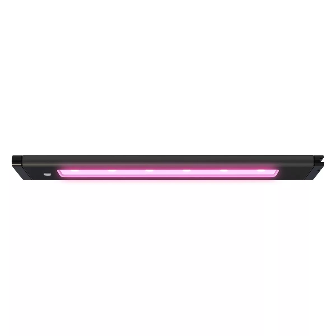 AI Blade Refugium 2