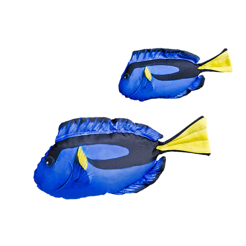 Almofada Hepatus/Dory
