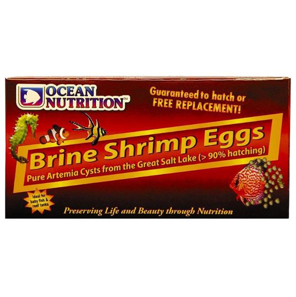 Brine Shrimp eggs