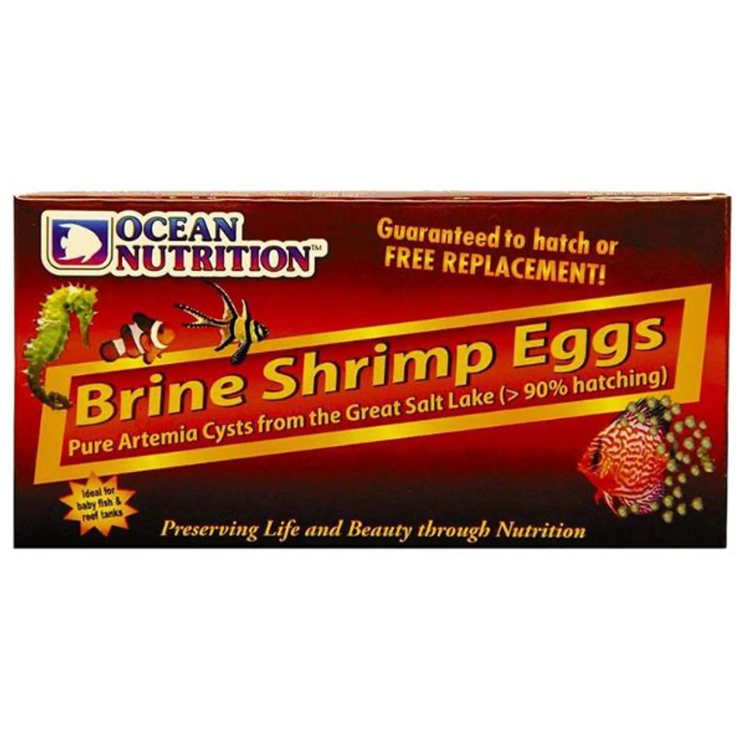 Brine Shrimp eggs