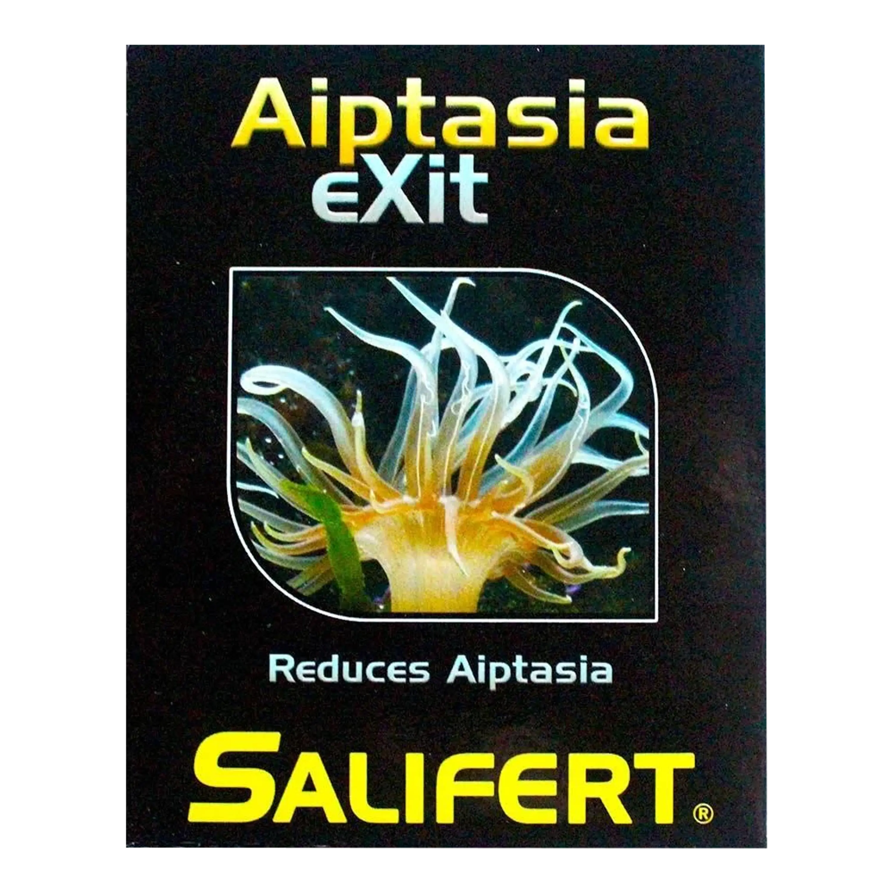 AIPTASIA EXIT