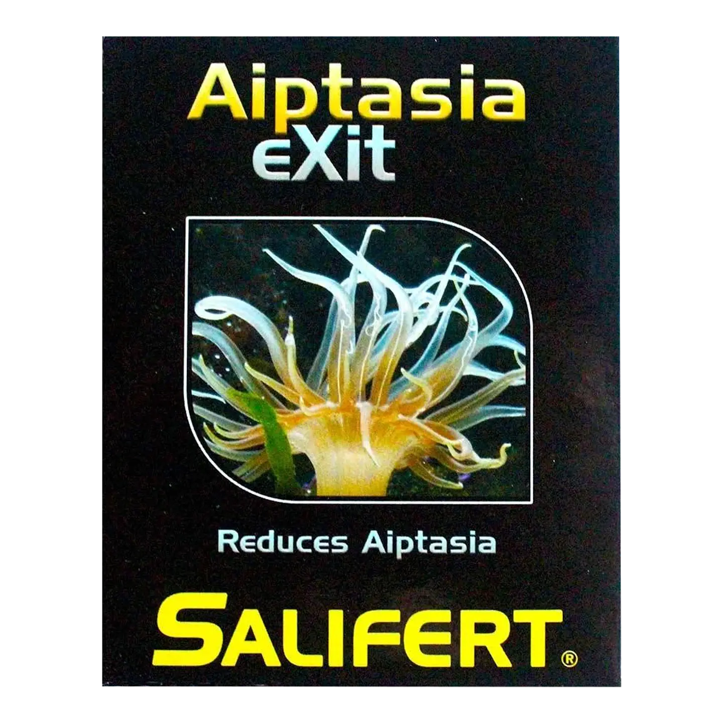 AIPTASIA EXIT 1