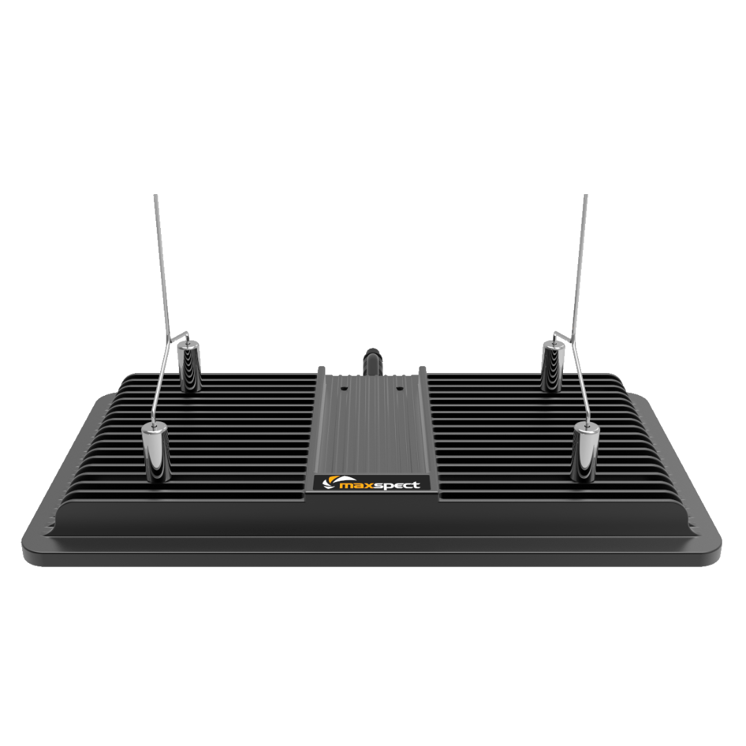 Maxspect Jump MJ-L 3