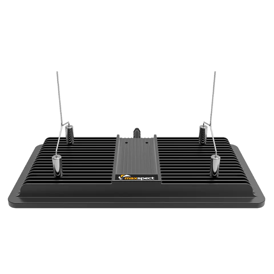 Maxspect Jump MJ-L 3