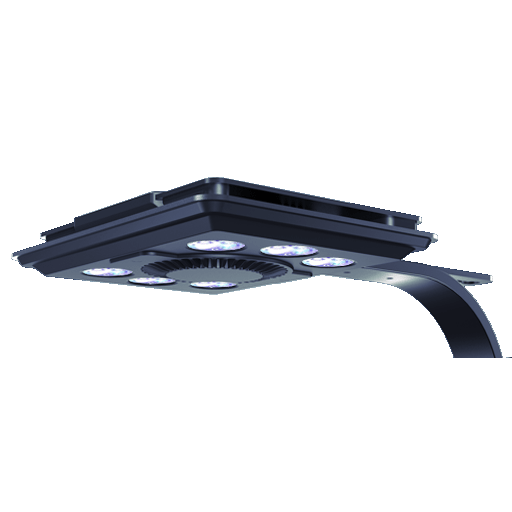 Maxspect Jump MJ-L 5