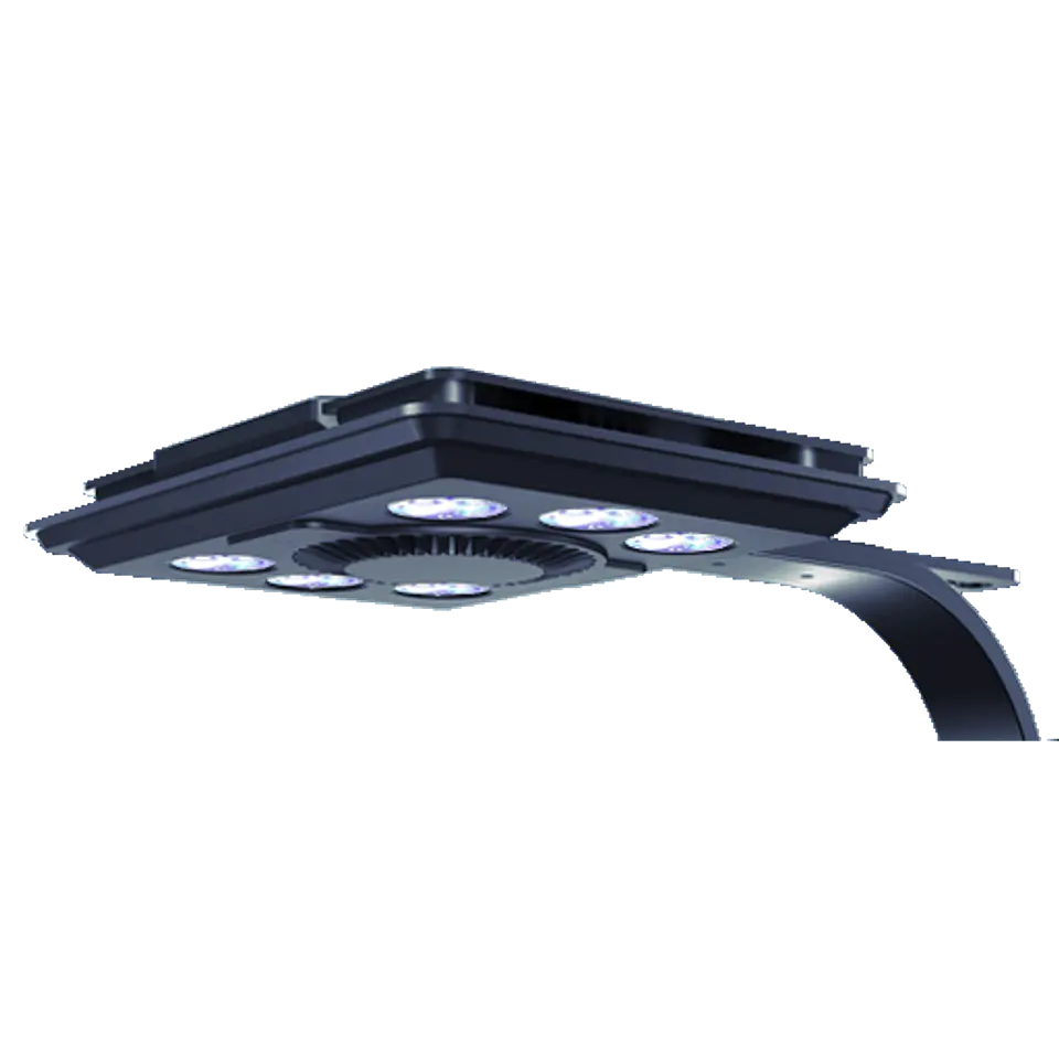 Maxspect Jump MJ-L 5