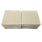 Coral Frag Tiles 10 U. 2