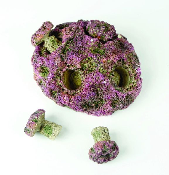 Natureform bases 3