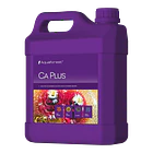 CA PLUS 2