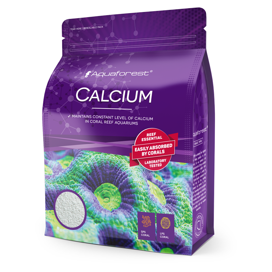CALCIUM 1