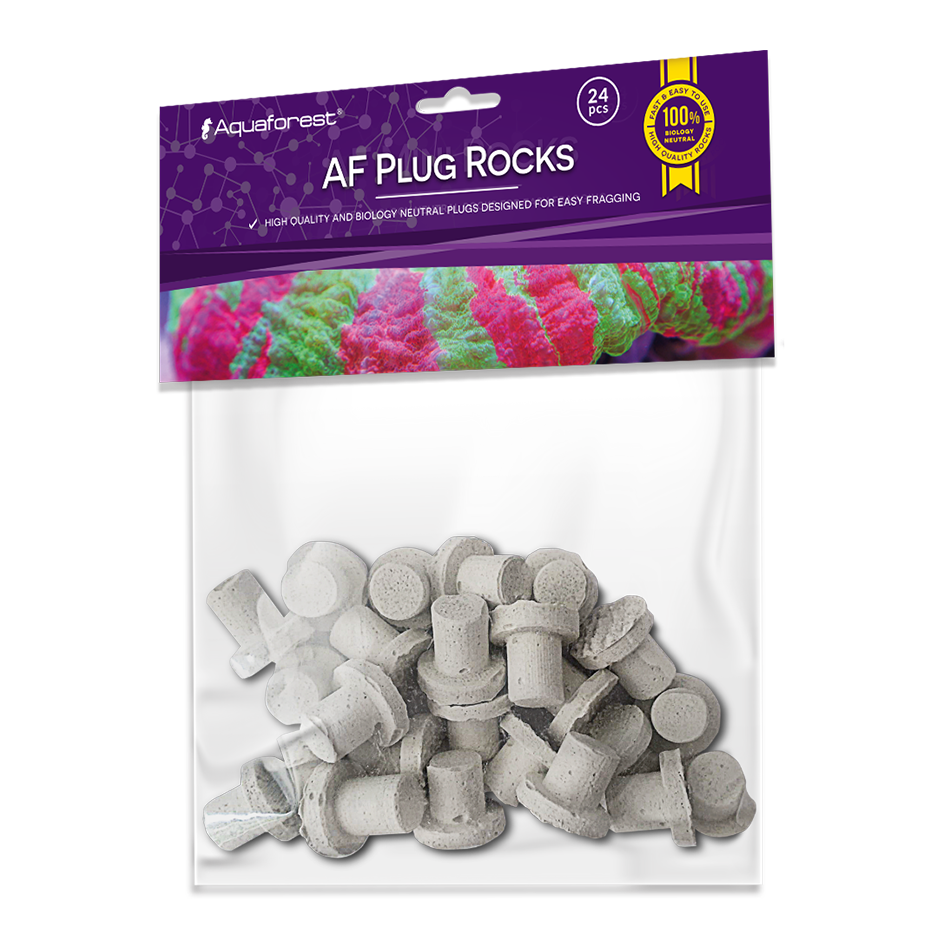 AF Plug Rocks