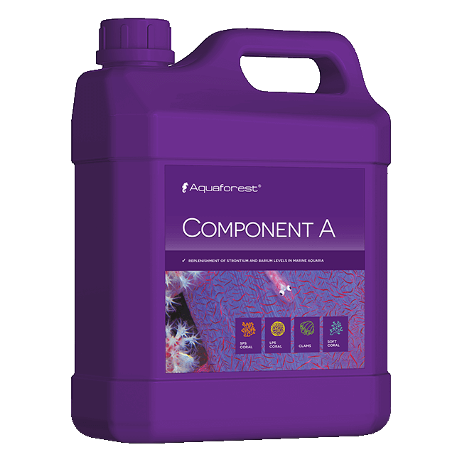 COMPONENT-A 2