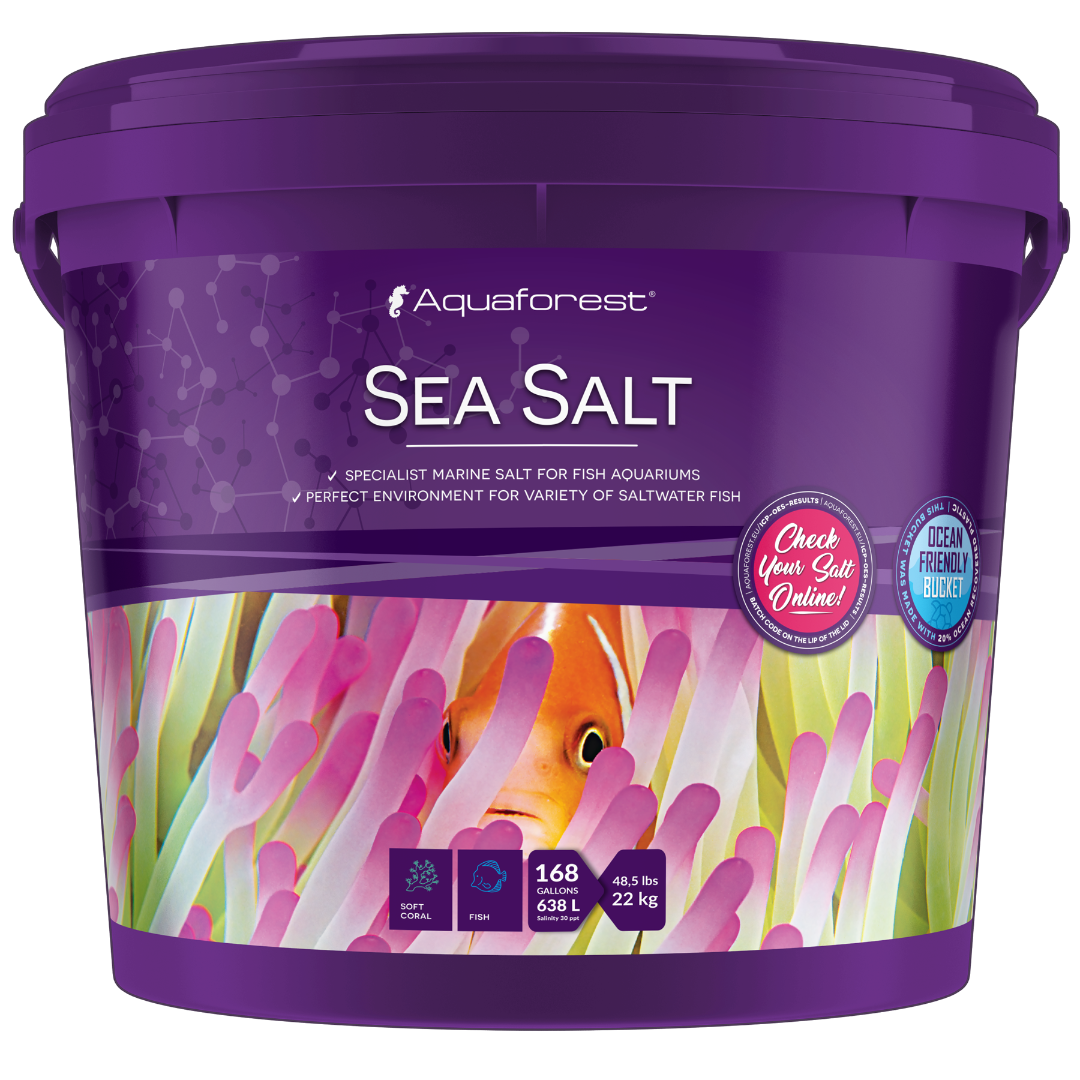 SEA SALT 2