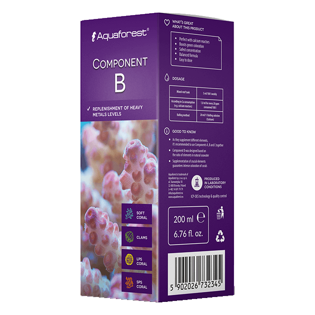 COMPONENT-B 1