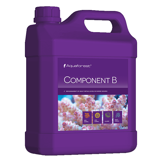COMPONENT-B 2