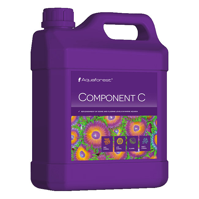 COMPONENT-C 2