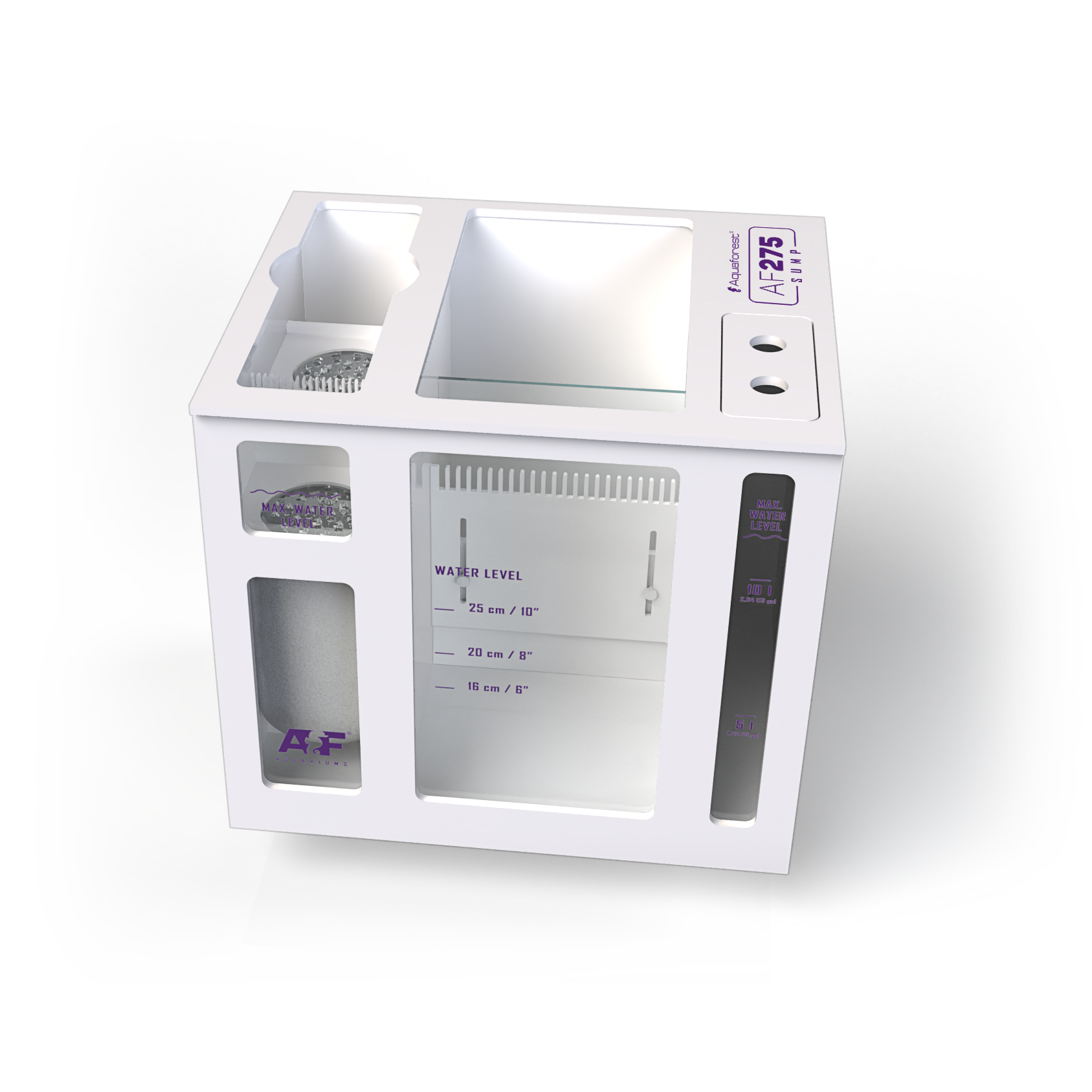 AF Sump 1