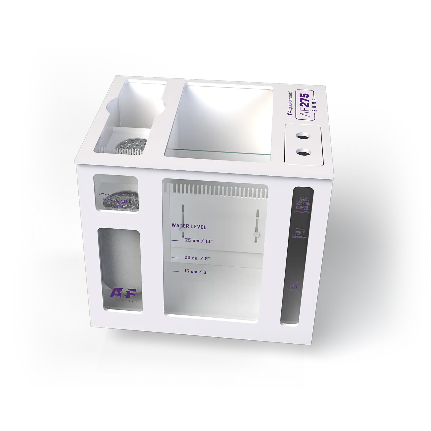 AF Sump 1