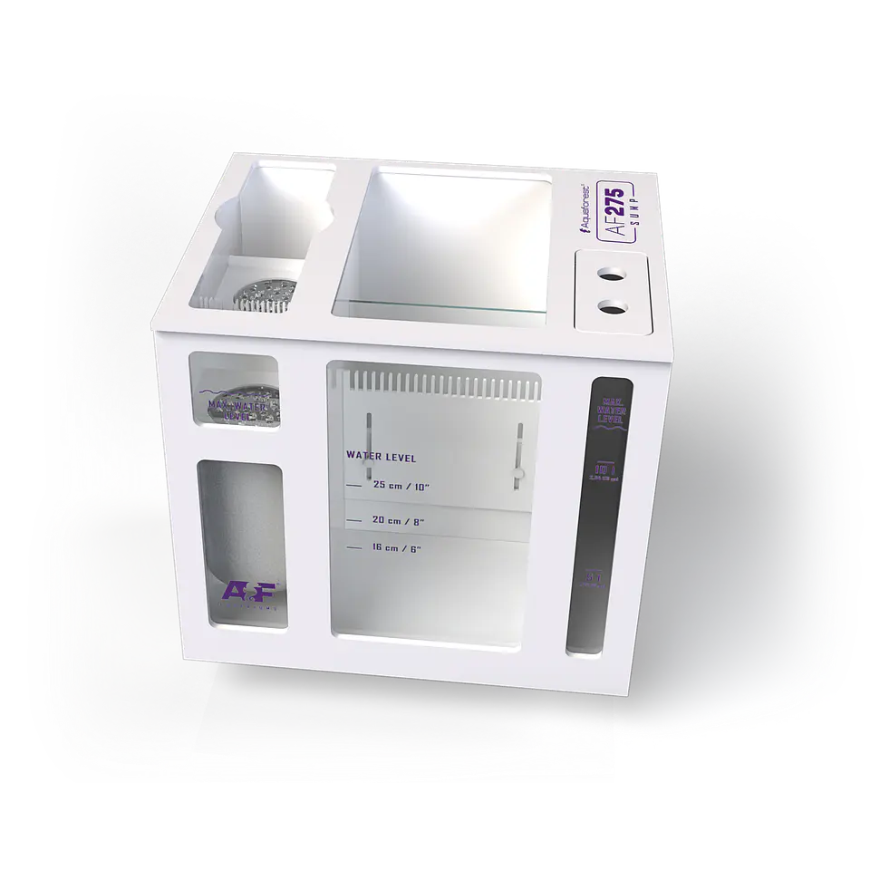 AF Sump 1