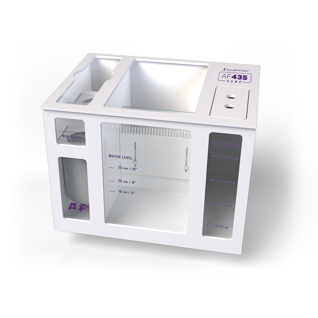 AF Sump 2