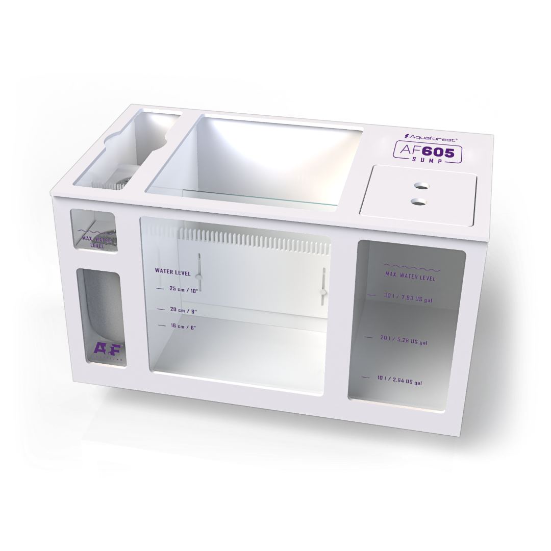 AF Sump 3