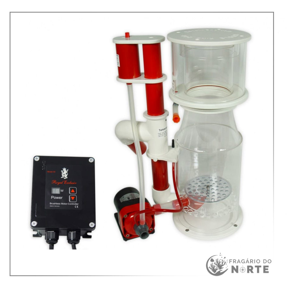 Bubble King Deluxe Interno 2