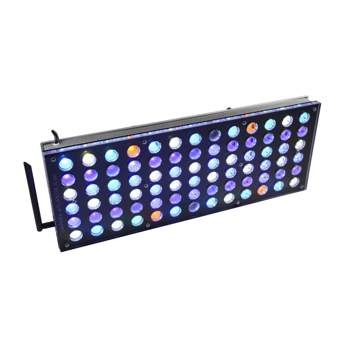 Atlantik Icon Reef 1