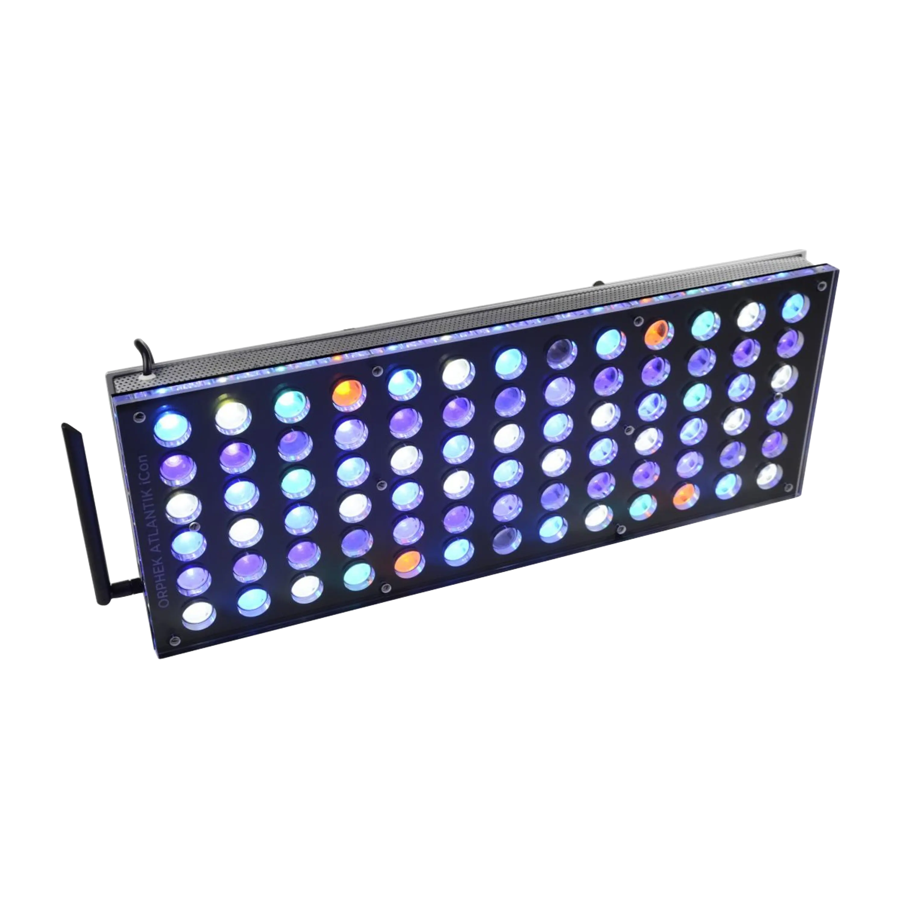 Atlantik Icon Reef