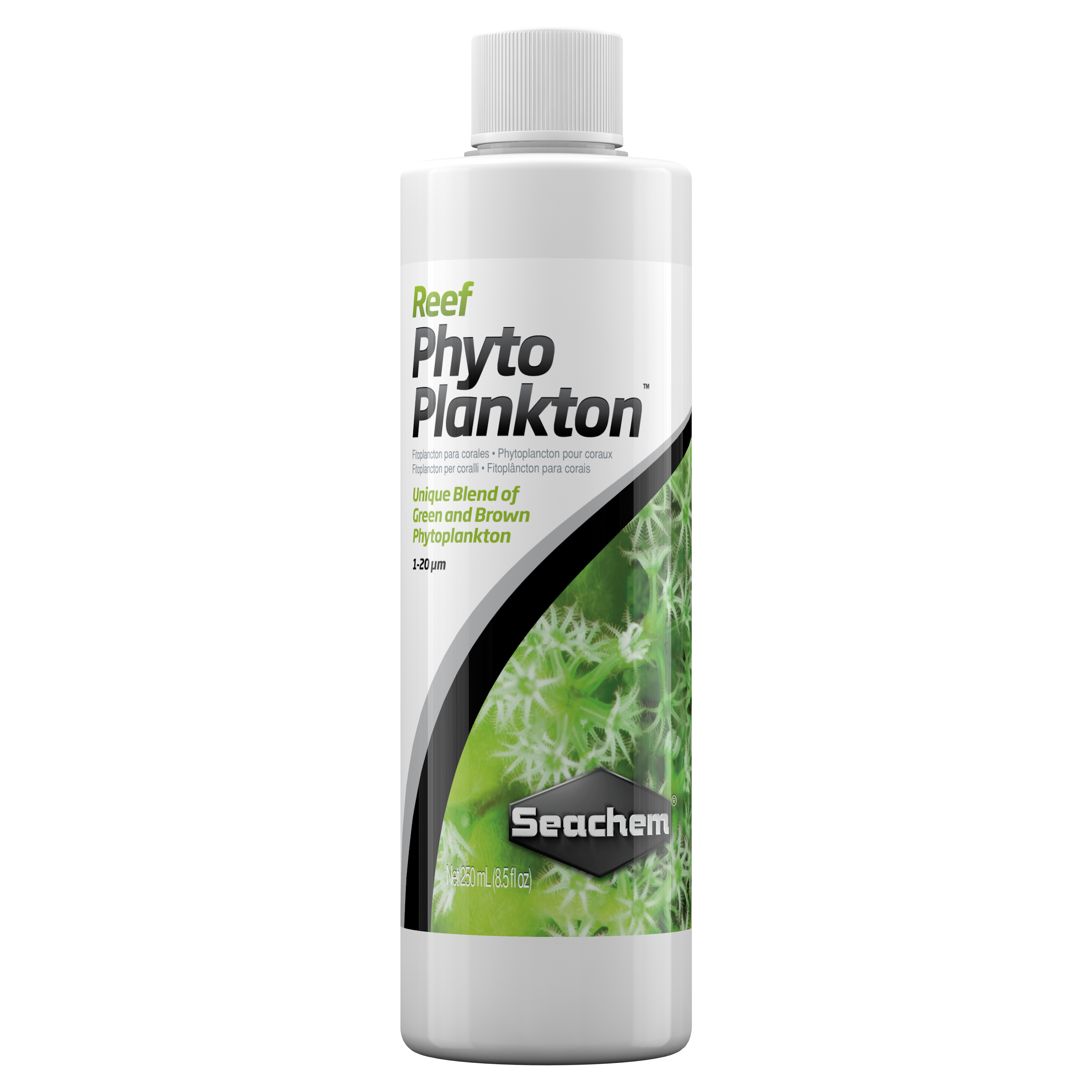 REEF PHYTOPLANKTON 1