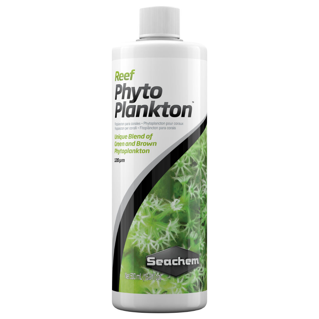 REEF PHYTOPLANKTON 2