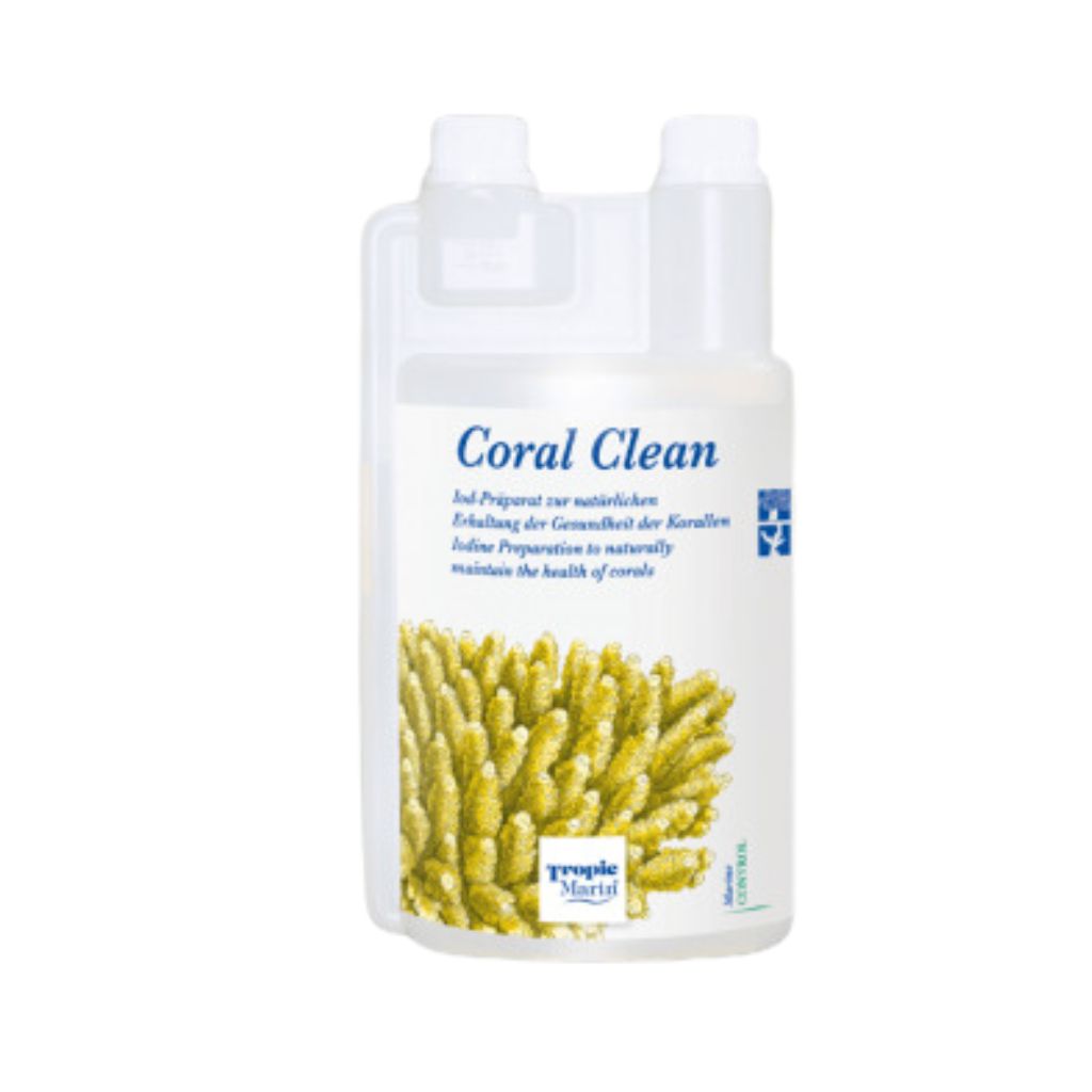 Coral Clean