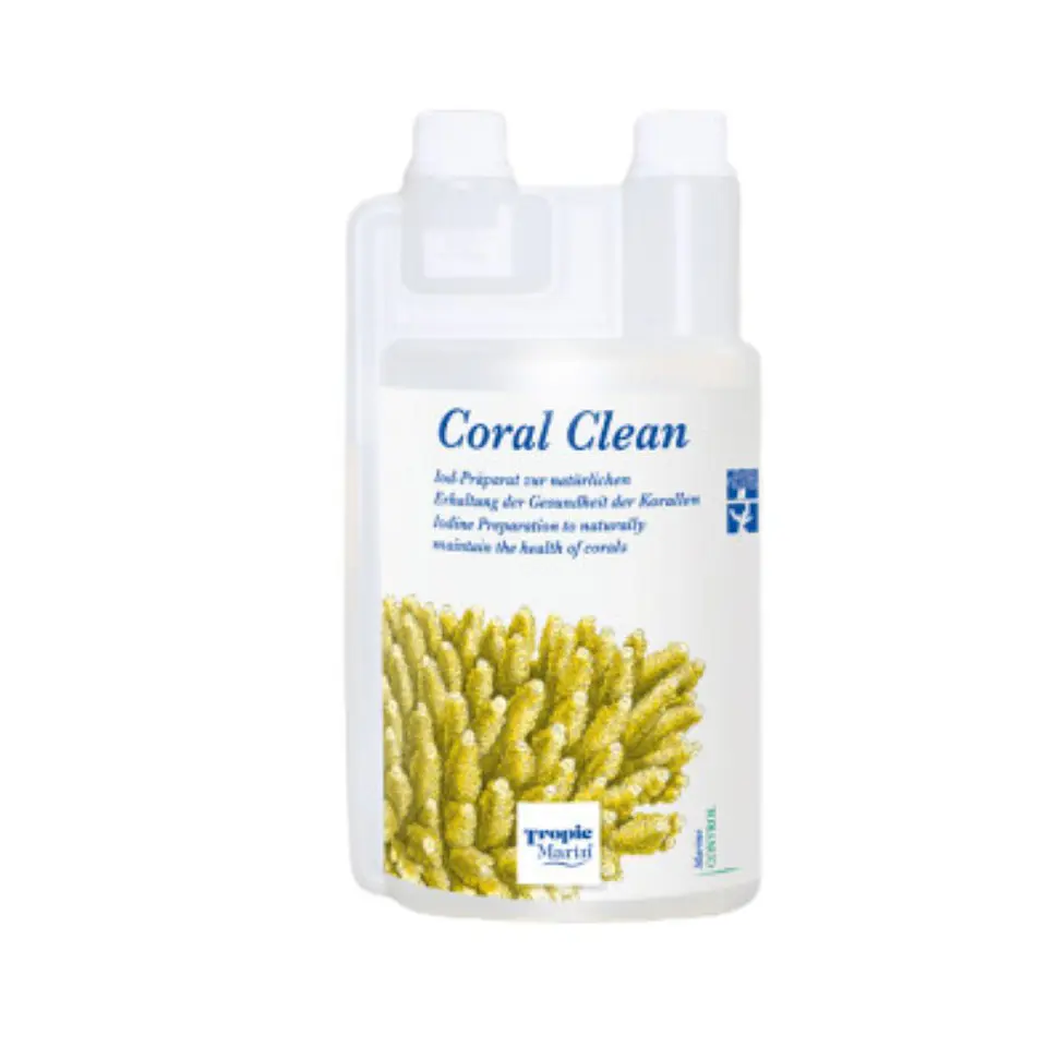 Coral Clean 1