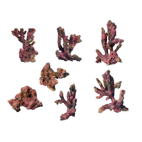 TMC EcoReef Rock - Mixed Box E 1