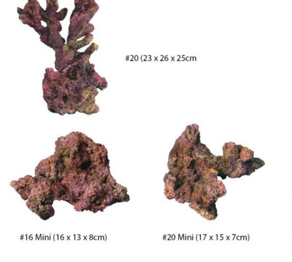 TMC EcoReef Rock - Mixed Box E 2