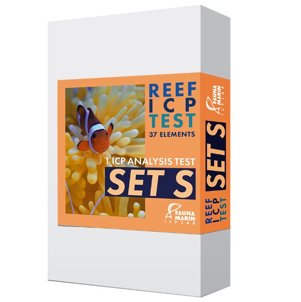 REEF ICP 1