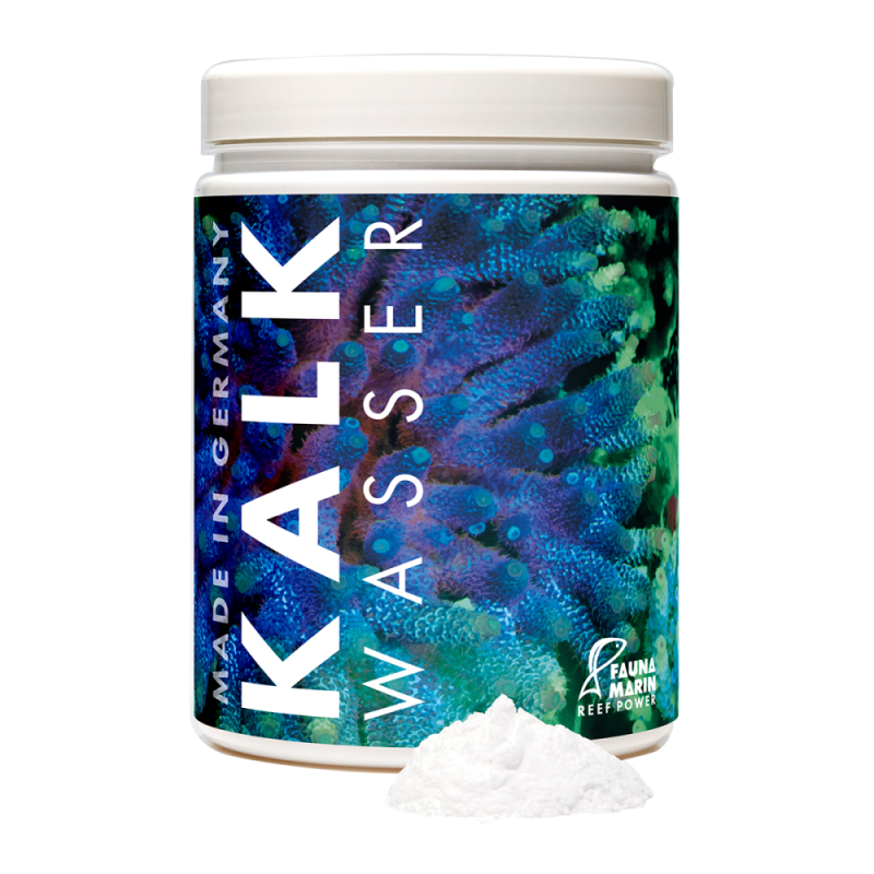 Fauna Marin Kalk Wasser 1