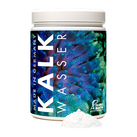 Fauna Marin Kalk Wasser