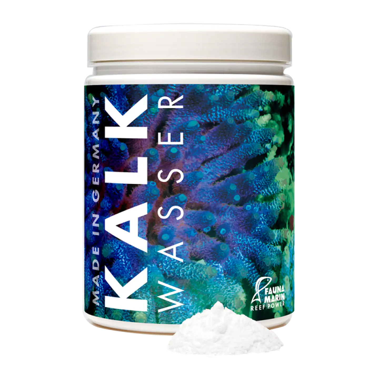 Fauna Marin Kalk Wasser 1