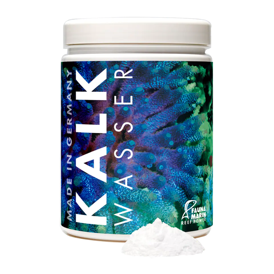 Fauna Marin Kalk Wasser 1
