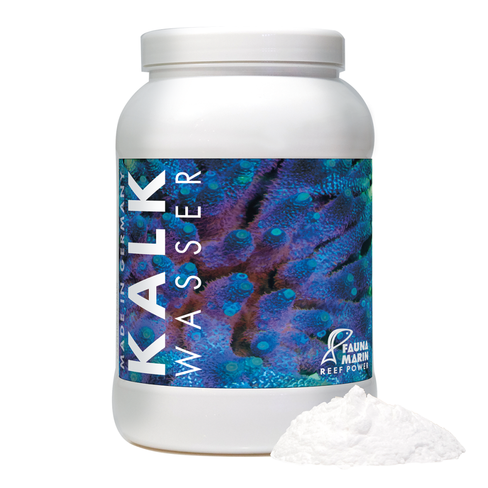 Fauna Marin Kalk Wasser 2