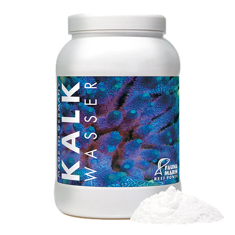 Fauna Marin Kalk Wasser