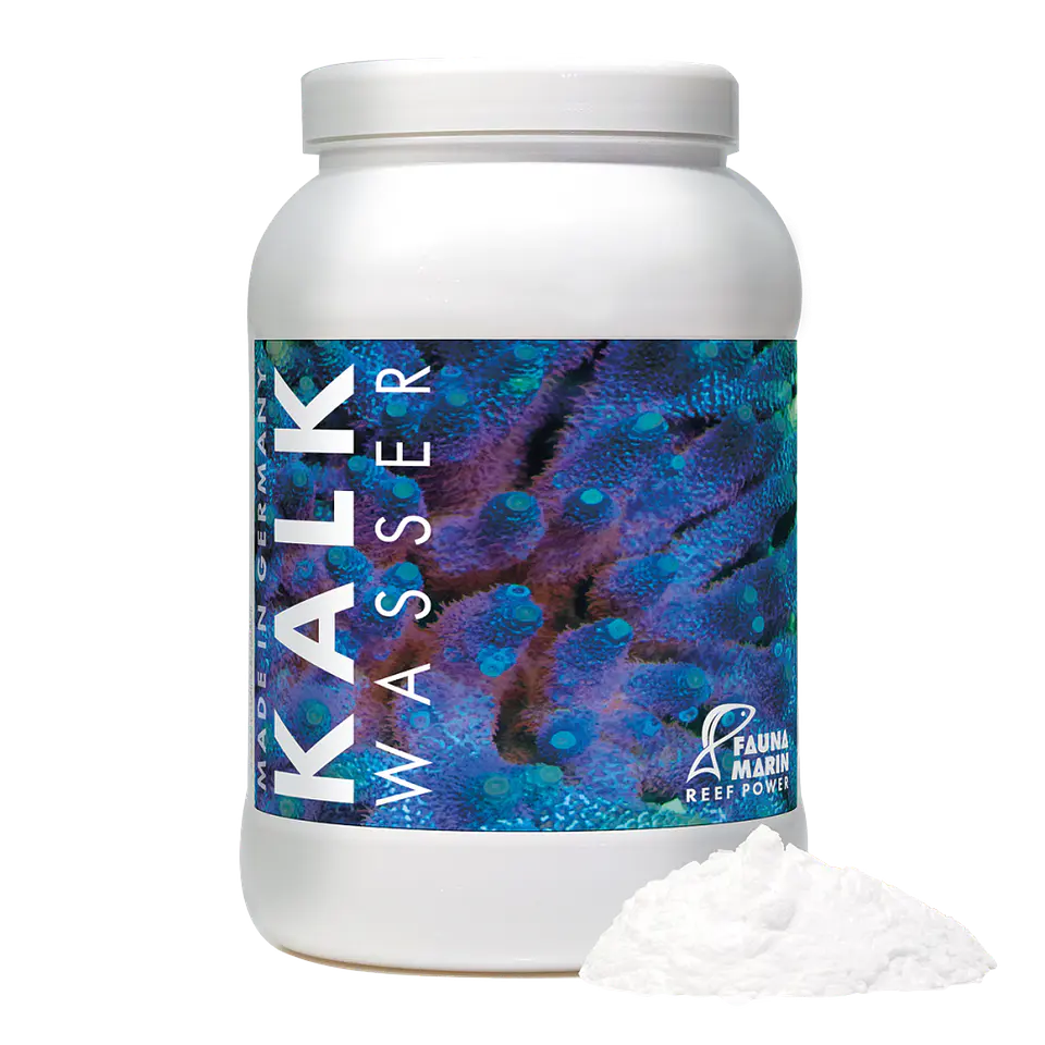 Fauna Marin Kalk Wasser 2