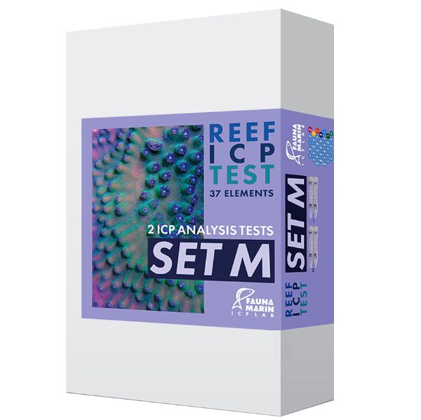 REEF ICP 3