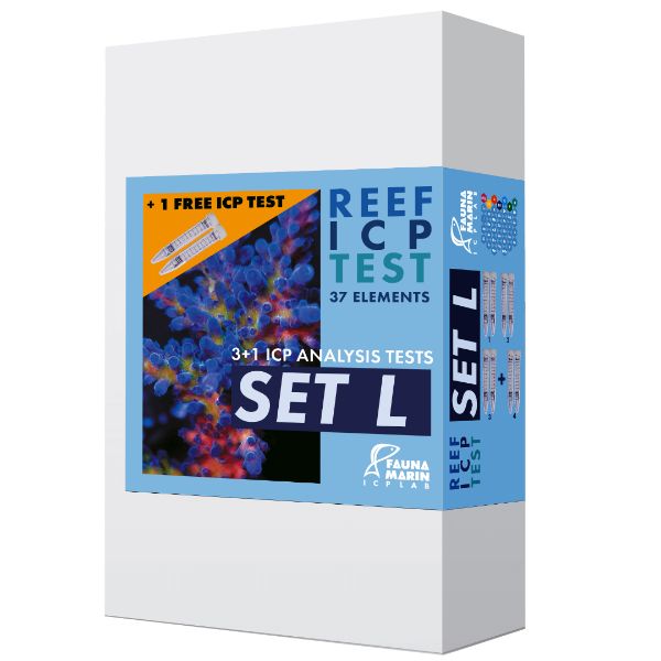 REEF ICP 5