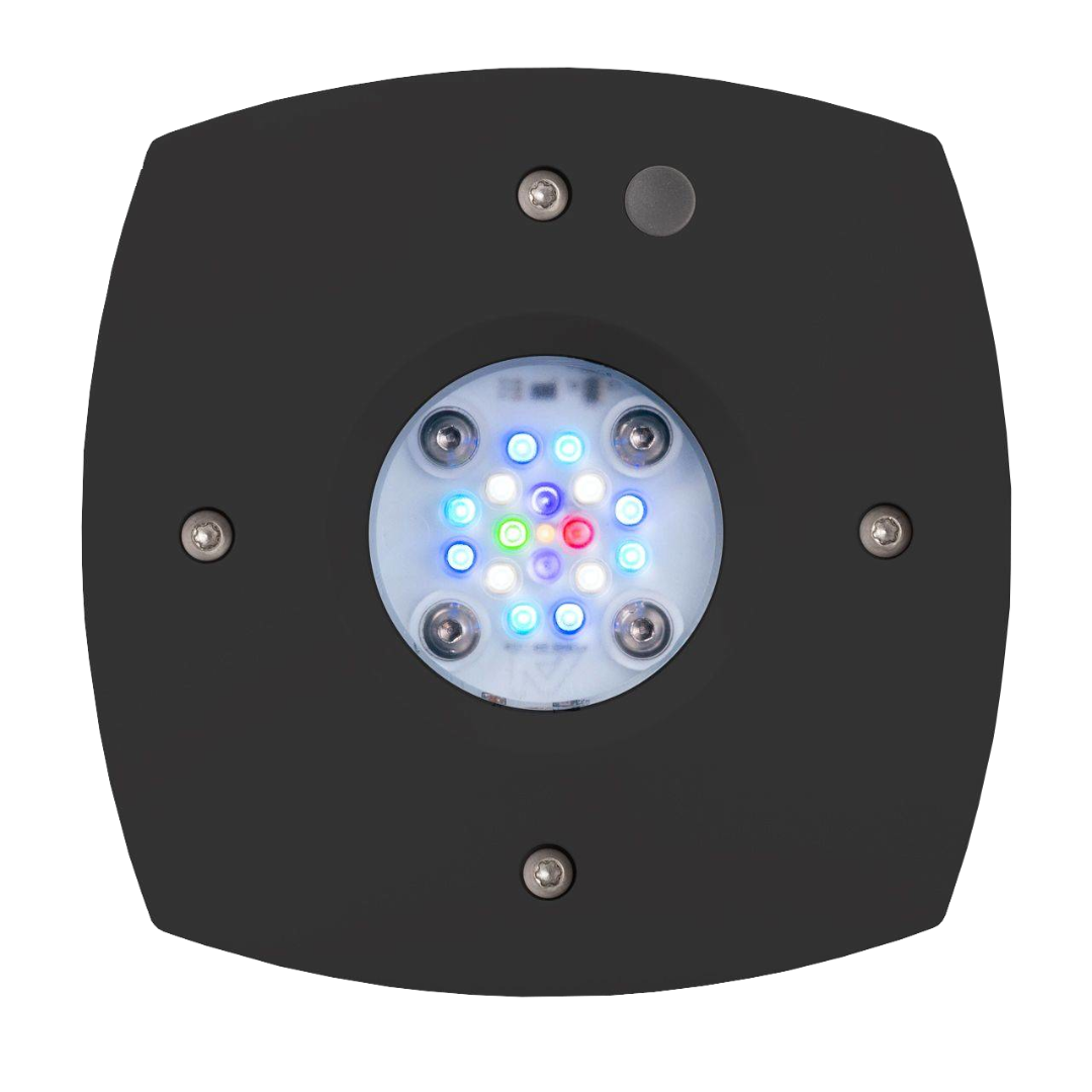AI PRIME 16 HD 2