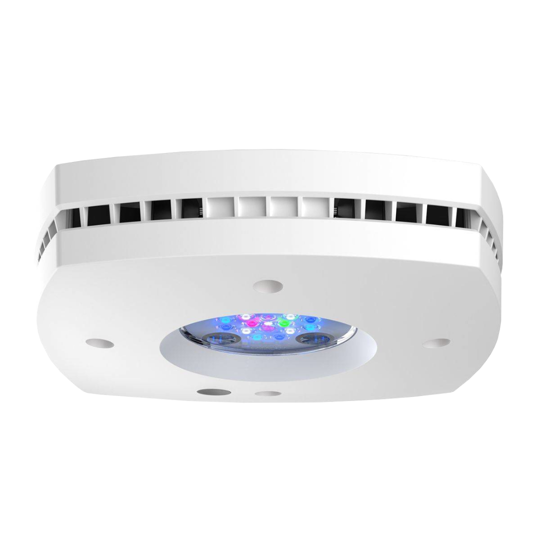 AI PRIME 16 HD 3