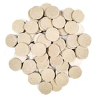 Coral Frag Disks 10 u. 2