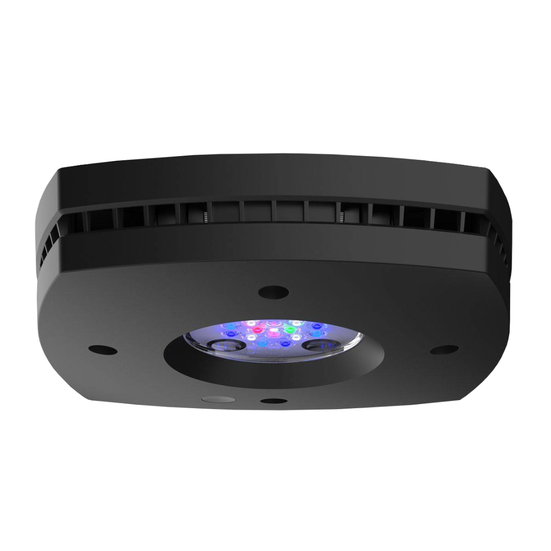 AI PRIME 16 HD 4