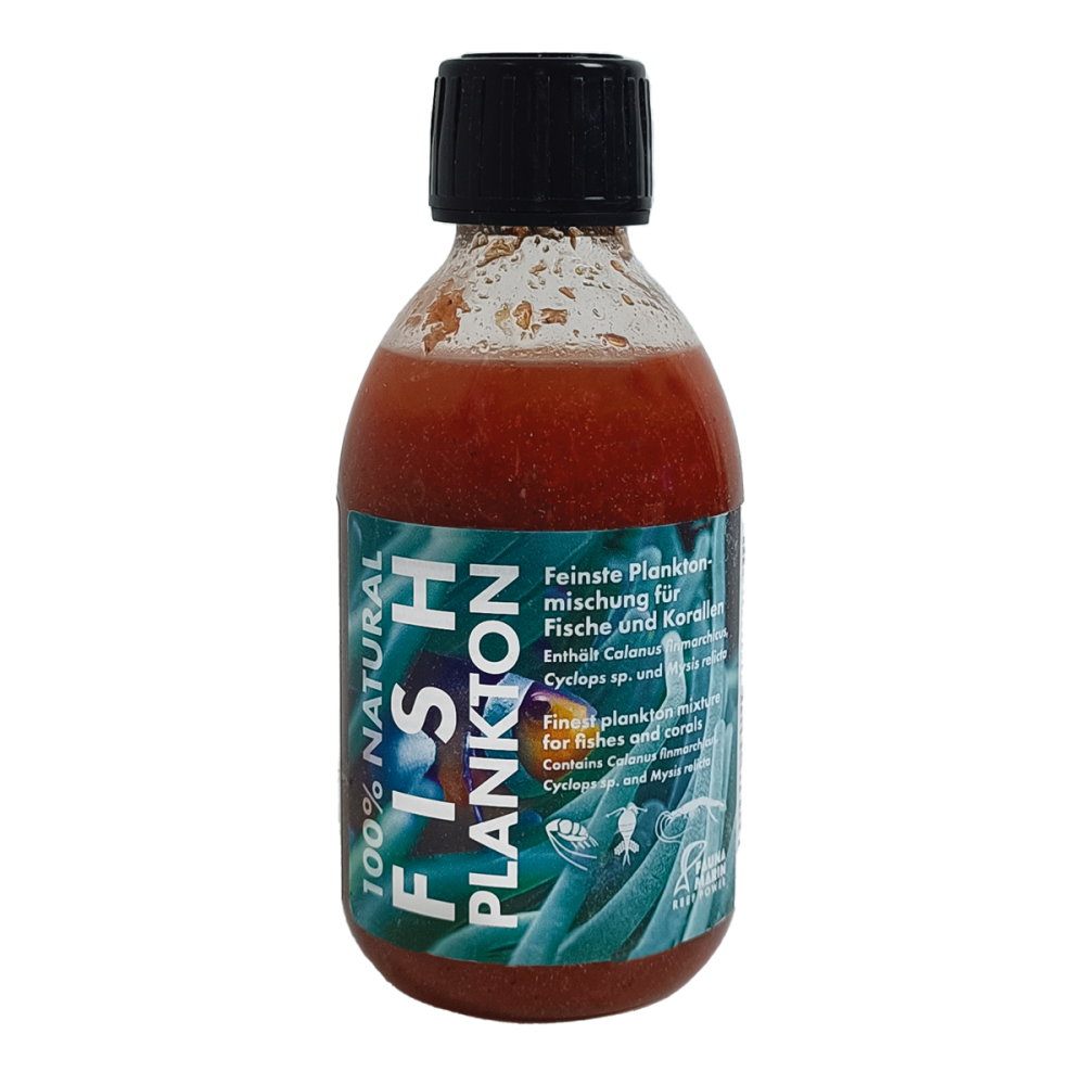 Fauna Marin Fish Plankton