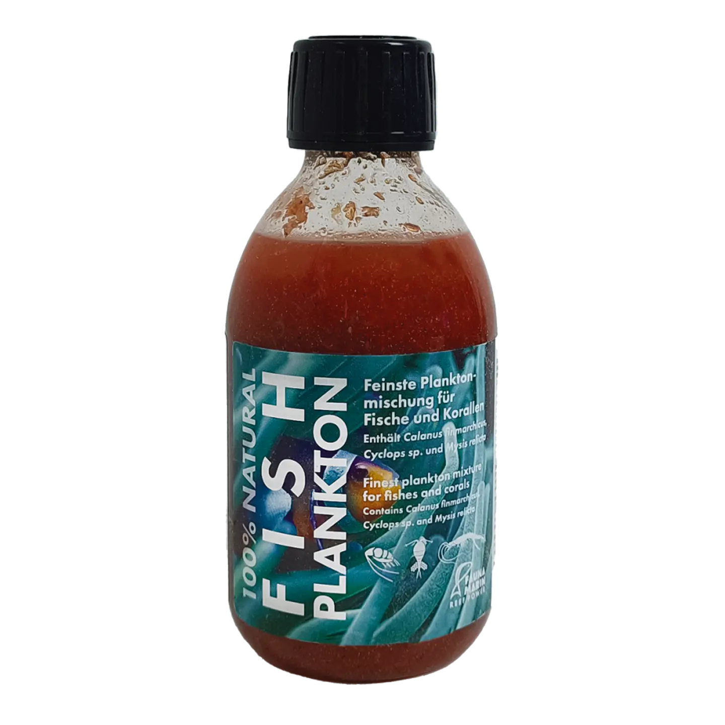 Fauna Marin Fish Plankton 1